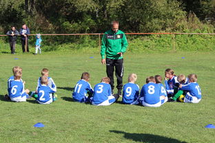 华体会hth-中国足球年度战术视频分析内容频次统计,中国足球战术风格