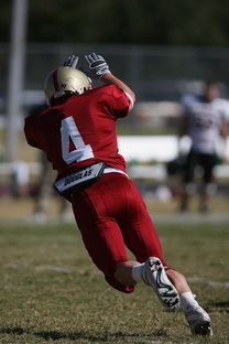 华体会体育网站-意甲球队防守阵型调整对对手进攻成功率的影响,意甲防守最强的球队
