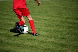 华体会官网-篮球运动员心理健康维护体系建设与优化,篮球运动员心理健康维护体系建设与优化方案